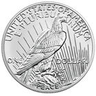 100th anniversary peace silver dollar ms70 MP2 b Coin