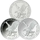 signature set of new design american eagles DAS a Main