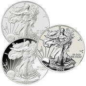 The American Eagle Silver Dollar 20th Anniversary Set ETA 1