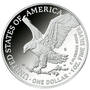 2022 early issue san francisco mint proof flying eagle SS2 c Coin
