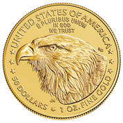 2023 early issue burnished american eagle gold coin GR3 b Coin