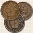 The Indian Head Penny Collection IHC 2