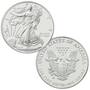 complete collection of burnished american eagle EBA d Coins
