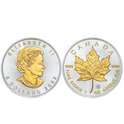platinum and gold highlighted silver coins UCM b Coin