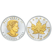 platinum and gold highlighted silver coins UCM b Coin
