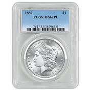 prooflike morgan silver dollar MPL b Holder
