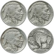 complete collection of us buffalo nickels BNA a Main