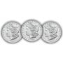 The Complete Choice Uncirculated Morgan Silver Dollar Mint Collection MMS 2