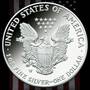 2015 first strike burnished american eagle silver E15 c Coin