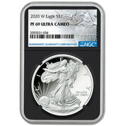 complete set of 2020 american eagle silver dollars SEL b Case
