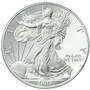 2007 american eagle silver dollar EG6 a Main
