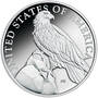 2023 american liberty proof silver medal SM3 c Coin
