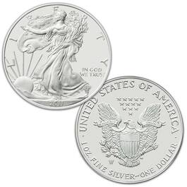 complete collection of burnished american eagle EBA b Coins