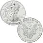 complete collection of burnished american eagle EBA b Coins