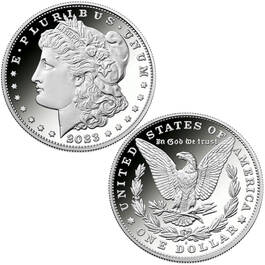 perfect 10 set of 2023 morgan and peace silver dollars MPX c Coin