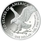 2022 proof flying american eagle silver dollars E22 c Coin