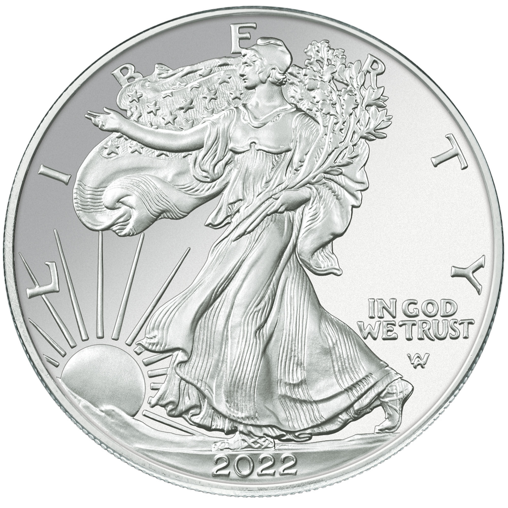 2022 uncirculated flying american eagle MS70 dollar U22 b Coin