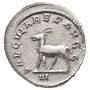 ancient roman millennial games coin ARM c Coin