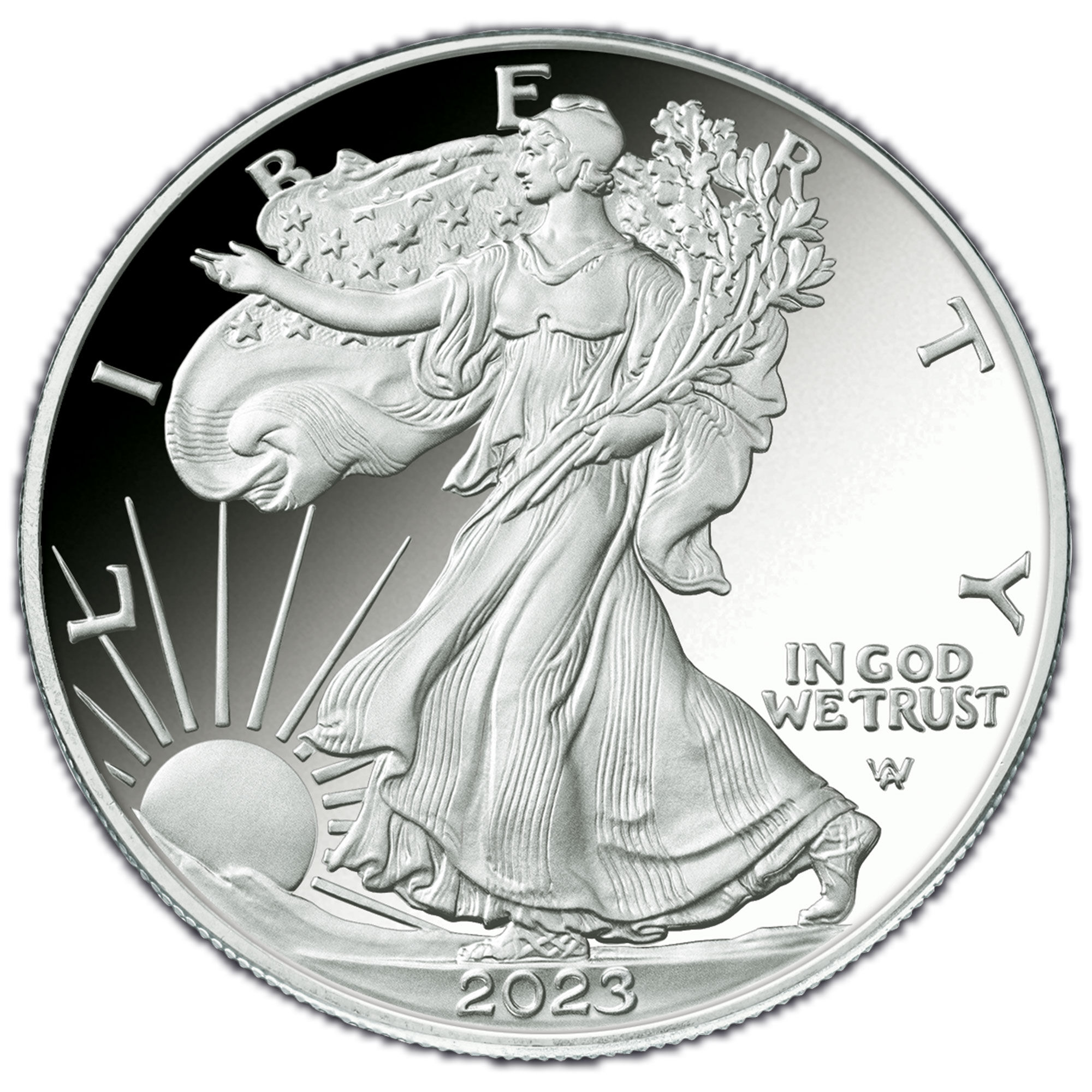 2023 proof american eagle silver dollar E23 b Coin