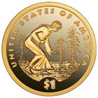 Americas Rarest Golden Dollars GPC 6