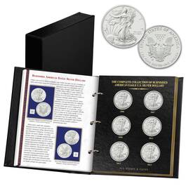 complete collection of burnished american eagle EBA a Main