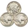 first year type set of uncirculated buffalo nickels BNT a Main