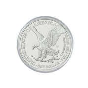 2021 w burnished american eagle W01 b Coin