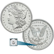 choice uncirculated last year new orleans mint morgan MOR a Main