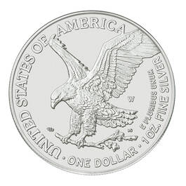 2022 burnished flying american eagle silver dollars E22 c Coin
