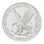 2022 burnished flying american eagle silver dollars E22 c Coin
