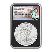 2008 american eagle silver dollar reverse of 2007 ER7 a Main