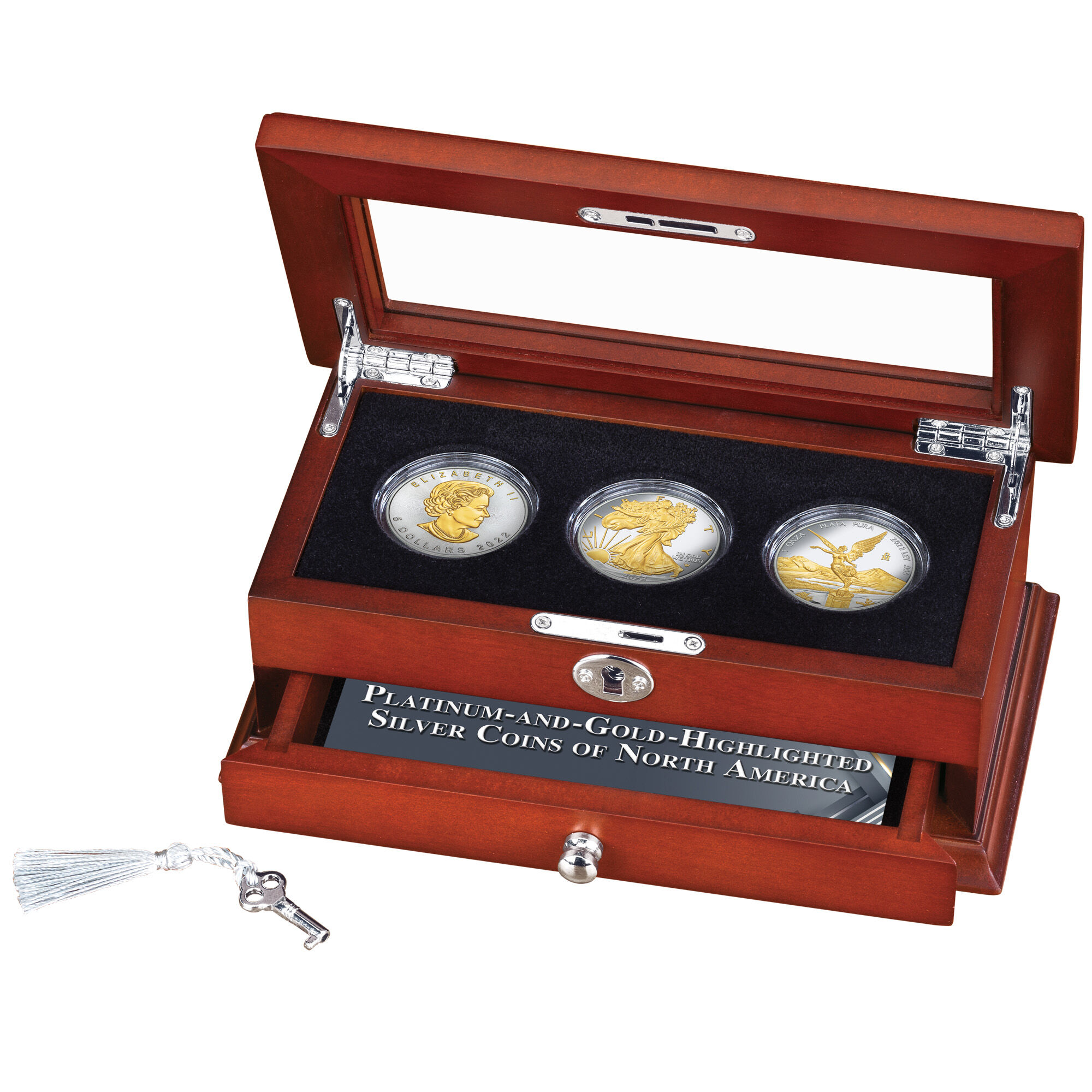 platinum and gold highlighted silver coins UCM g Disp
