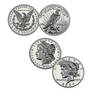 perfect 10 set of 2024 reverse proof morgan and peace XR4 b Coins