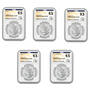 Five-Decade Collection of NGCX 9.5 Gem Uncirculated Morgan Silver Dollars, five decade collection of ngcx 95 gem uncirculated MDX d Coins