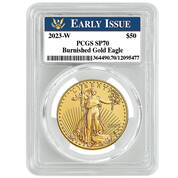2023 early issue burnished american eagle gold coin GR3 a Main