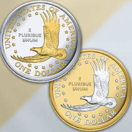 platinum gold highlighted sacagawea dollars NPG b Coin