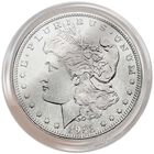morgan and peace us silver dollar collection SLV c Holder
