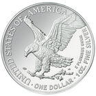 2022 uncirculated flying american eagle silver dollar U22 c Coin