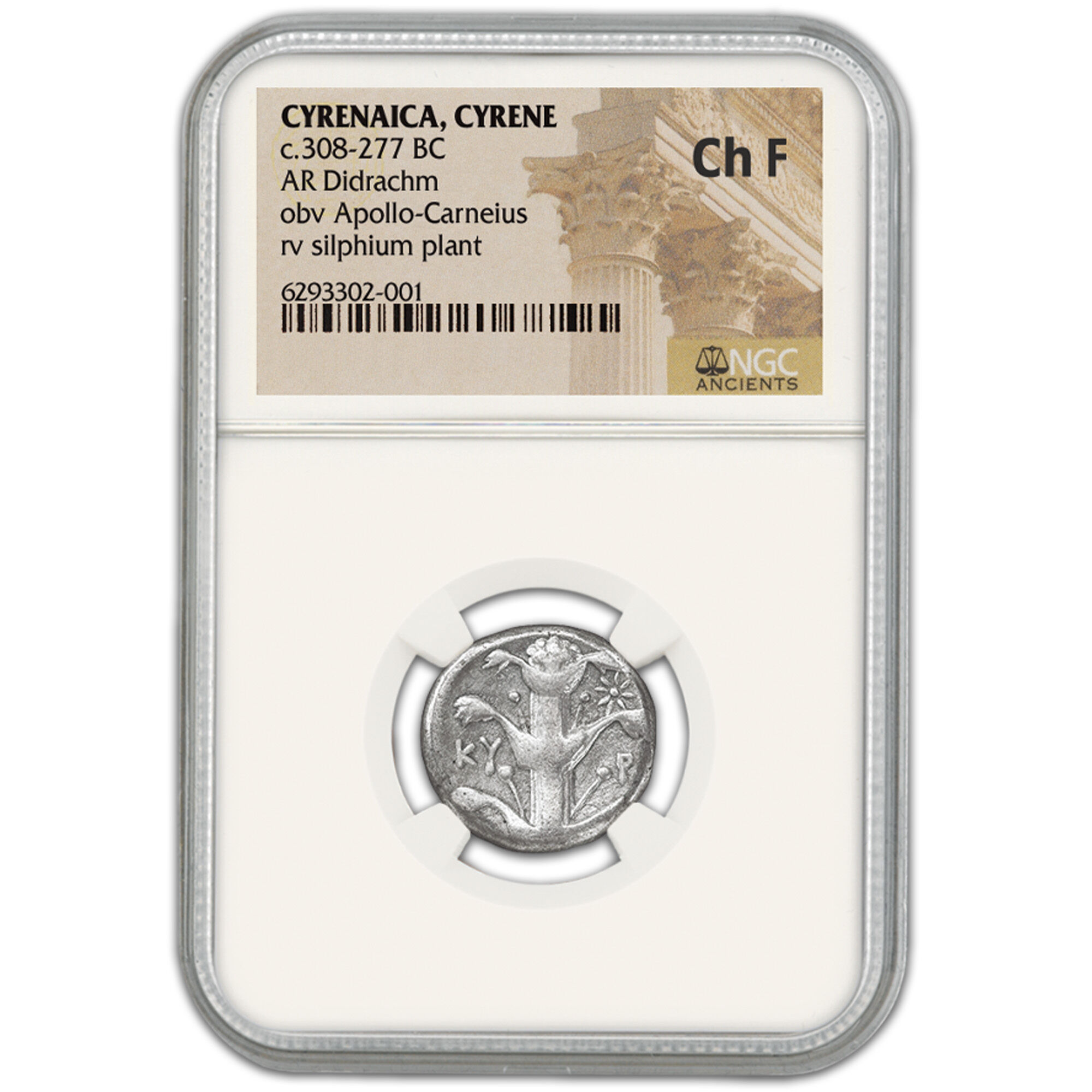 ancient greek silver cyrene coin ACY c Holder