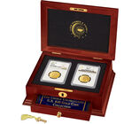 choice uncirculated us 10 dollar gold coin collection GCX c Disp