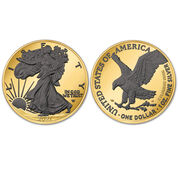 visions of freedom american eagle silver dollars NSE a Main