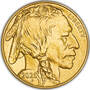 The 2025 Early Issue Uncirculated American Buffalo Gold Coin, 2025 early issue uncirculated american buffalo gold GB5 d Coin