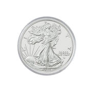 2021 w burnished american eagle W01 a Main