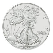 2022 burnished flying american eagle silver dollars E22 b Coin
