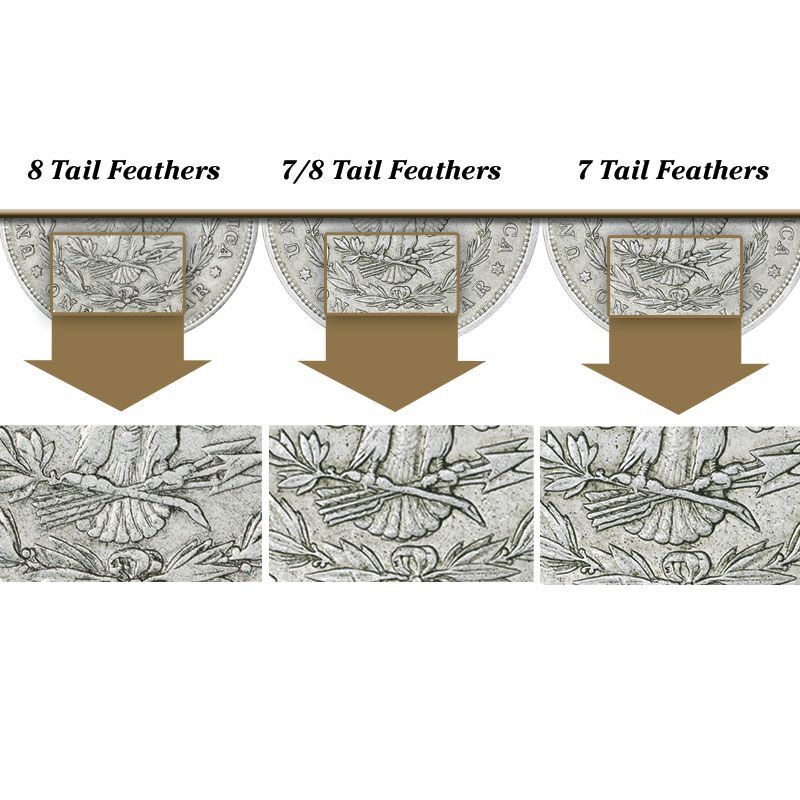 The 1878 Morgan Silver Dollar Tail Fether Set TFC 2