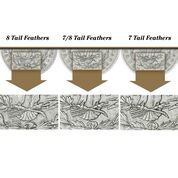 The 1878 Morgan Silver Dollar Tail Fether Set TFC 2