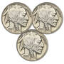 The Complete Mint Set of Uncirculated Buffalo Nickels, complete mint set of uncirculated buffalo nickels BNM d Coins
