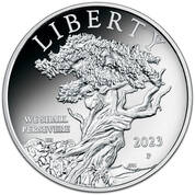 2023 american liberty proof silver medal SM3 b Coin