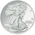 2022 uncirculated flying american eagle silver dollar U22 b Coin