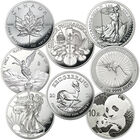The Certified Uncirculated Silver Bullion Collection I69 1